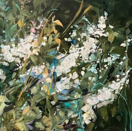 Jacqueline Miller - Meadows Garden